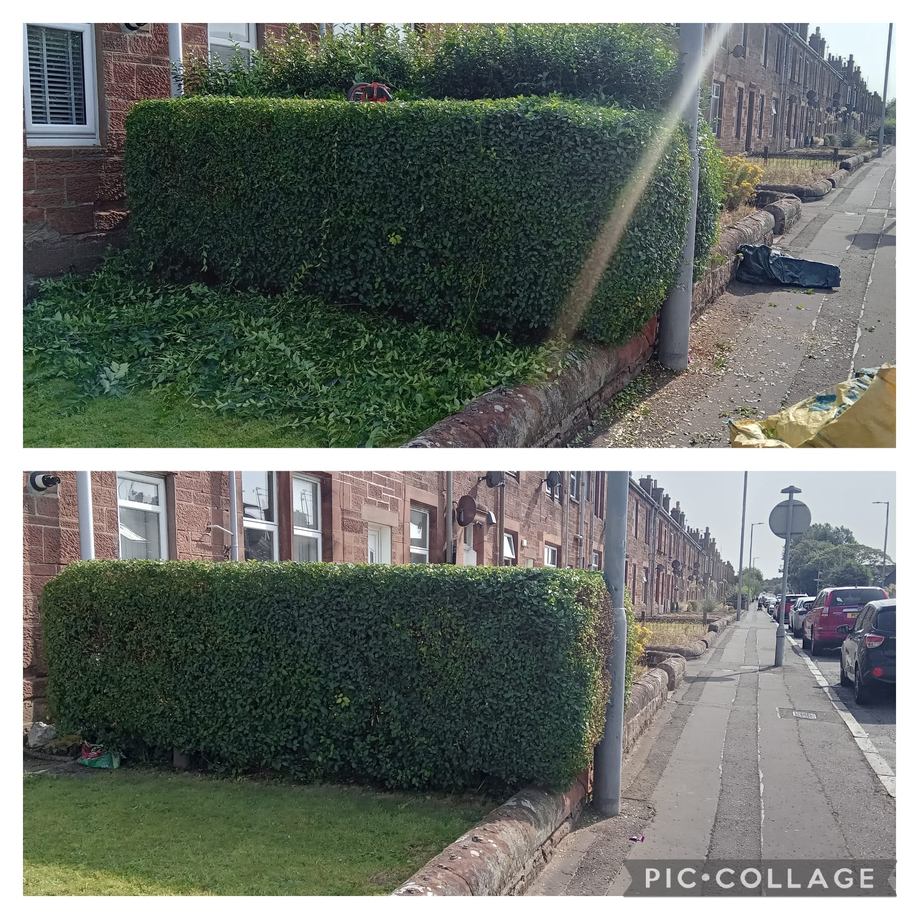Hedge trimming and garden maintenance in Prestwick