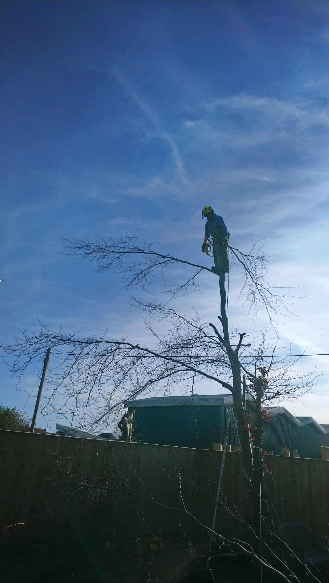 Professional garden services and landscaping in Ayrshire